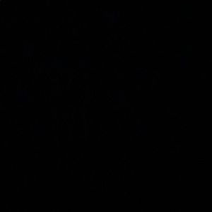 Meet your Posher, Carlee